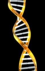 A double helix strand of DNA. A double helix strand of DNA.