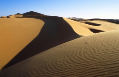 Sand dunes in the Sahara Desert. Sand dunes in the Sahara Desert.