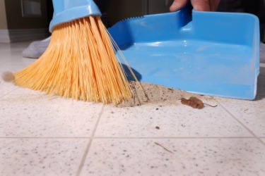 Dust being swept into a dustpan. Dust being swept into a dustpan.