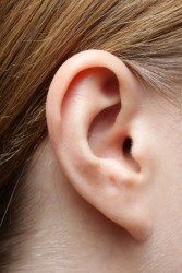 A woman's ear. A woman's ear.