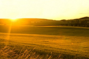 The early morning sunrise. The early morning sunrise.