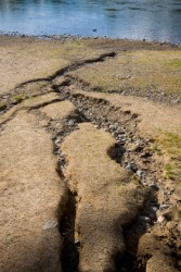 Cracks by a riverbed created by erosion. Cracks by a riverbed created by erosion.