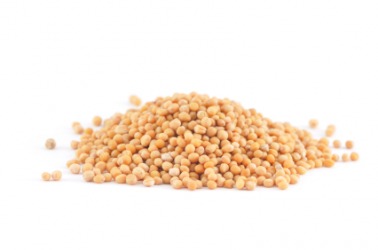 Mustard seed contains erucic acid. Mustard seed contains erucic acid.