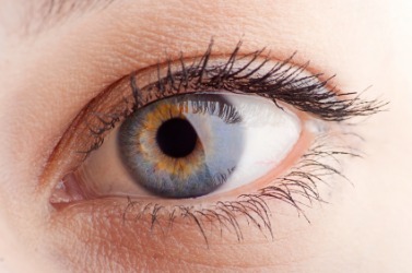 The human eye. The human eye.