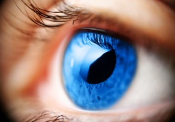 A close up of an eyeball. A close up of an eyeball.