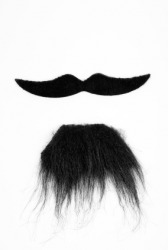 A fake mustache and beard. A fake mustache and beard.
