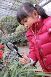 A child on a field trip to a greenhouse. A child on a field trip to a greenhouse.