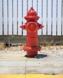 A red fire hydrant. A red fire hydrant.