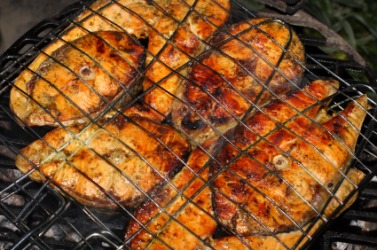 Salmon being cooked at a fish fry. Salmon being cooked at a fish fry.