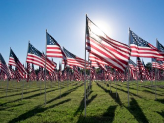 In honor of Flag Day in the United States. In honor of Flag Day in the United States.