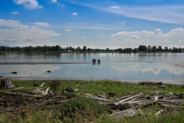 The flood plain of a river. The flood plain of a river.