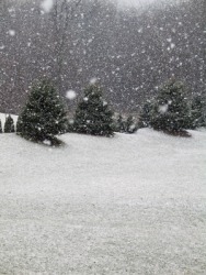A flurry of snowflakes. A flurry of snowflakes.