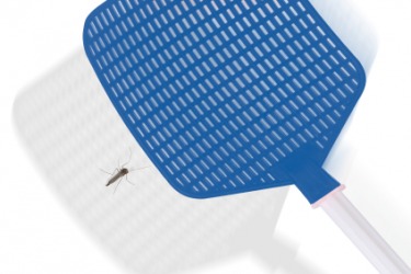 A fly swatter about to squash a bug. A fly swatter about to squash a bug.