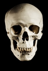 The image of a skull will frighten some people. The image of a skull will frighten some people.