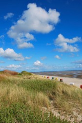 Sand dunes on one of the Frisian Islands. Sand dunes on one of the Frisian Islands.