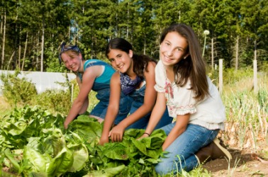 Three girls working in their garden. Three girls working in their garden.