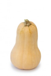 Butternut squash is a type of gourd Butternut squash is a type of gourd