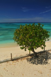 A beach on the Grand Turk. A beach on the Grand Turk.