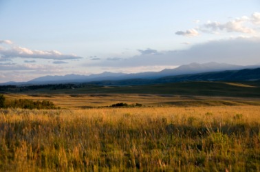 Sunset over the grasslands. Sunset over the grasslands.