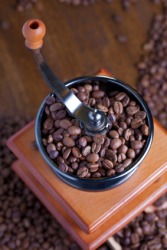 A device used to grind coffee beans. A device used to grind coffee beans.