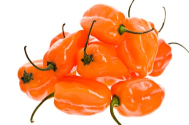 A pile of habanero peppers. A pile of habanero peppers.
