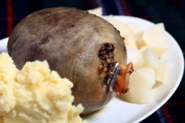 A plate of haggis with potatoes. A plate of haggis with potatoes.