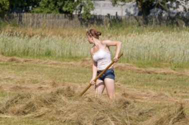 A haymaker at work A haymaker at work