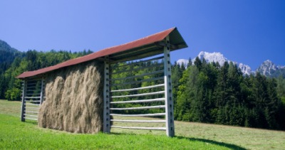 Hay on a hayrack. Hay on a hayrack.