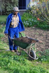 A hired hand working on a farm. A hired hand working on a farm.