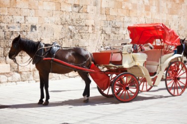 A horse hitched to a carriage. A horse hitched to a carriage.