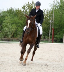 A young horseman. A young horseman.