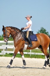 A woman practices her horsemanship. A woman practices her horsemanship.
