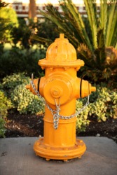 A yellow fire hydrant. A yellow fire hydrant.