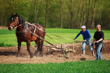 A plow is a farm implement. A plow is a farm implement.