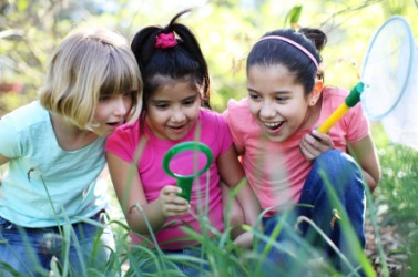 These children are very interested in something in the grass. These children are very interested in something in the grass.