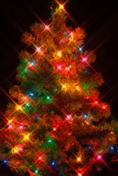 Lights interspersed on a Christmas tree. Lights interspersed on a Christmas tree.