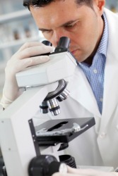 A research scientist investigates evidence under a microscope. A research scientist investigates evidence under a microscope.