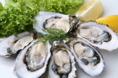 A plate of Japanese oysters. A plate of Japanese oysters.