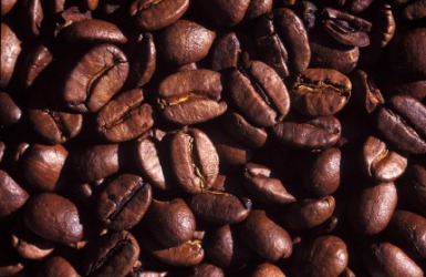 Coffee is called java. Coffee is called java.