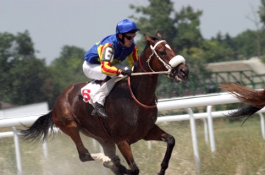 A jockey during a race. A jockey during a race.