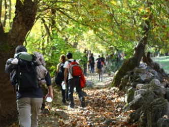 A group of people on a journey throught the rainforest. A group of people on a journey throught the rainforest.