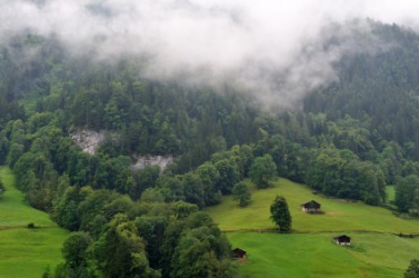 Pasture in the Jungfrau region. Pasture in the Jungfrau region.