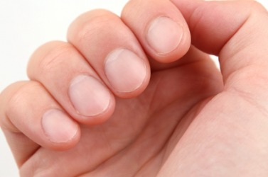 Keratin is the principal matter of fingernails. Keratin is the principal matter of fingernails.