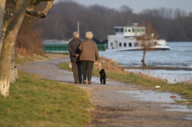 A couple take a leisurely walk around a lake. A couple take a leisurely walk around a lake.