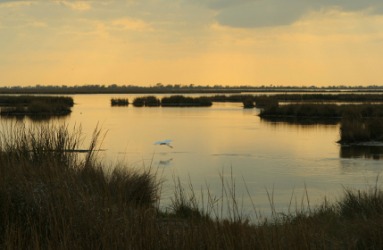 Sunset over a marsh. Sunset over a marsh.