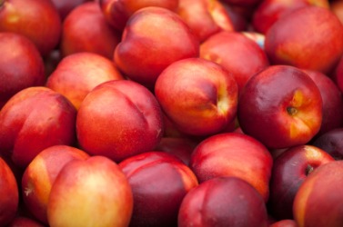 Fresh nectarines. Fresh nectarines.