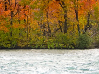 Niagara river in Autumn. Niagara river in Autumn.