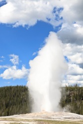 Old Faithful geyser. Old Faithful geyser.