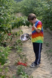 Oops! This kid has dropped his berries. Oops! This kid has dropped his berries.