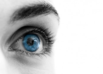 Optic has to do with the eye and eyesight. Optic has to do with the eye and eyesight.